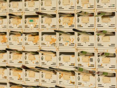 Newsletter from 14/11/2025