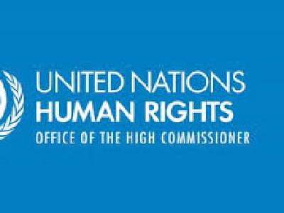 Submission to UN inquiry into the right to privacy in a digital age