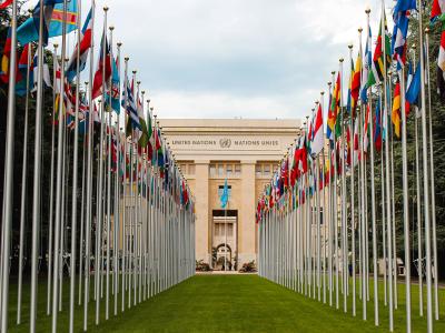 Submission: The UN Human Rights Council from Access Now and Digital Rights Watch