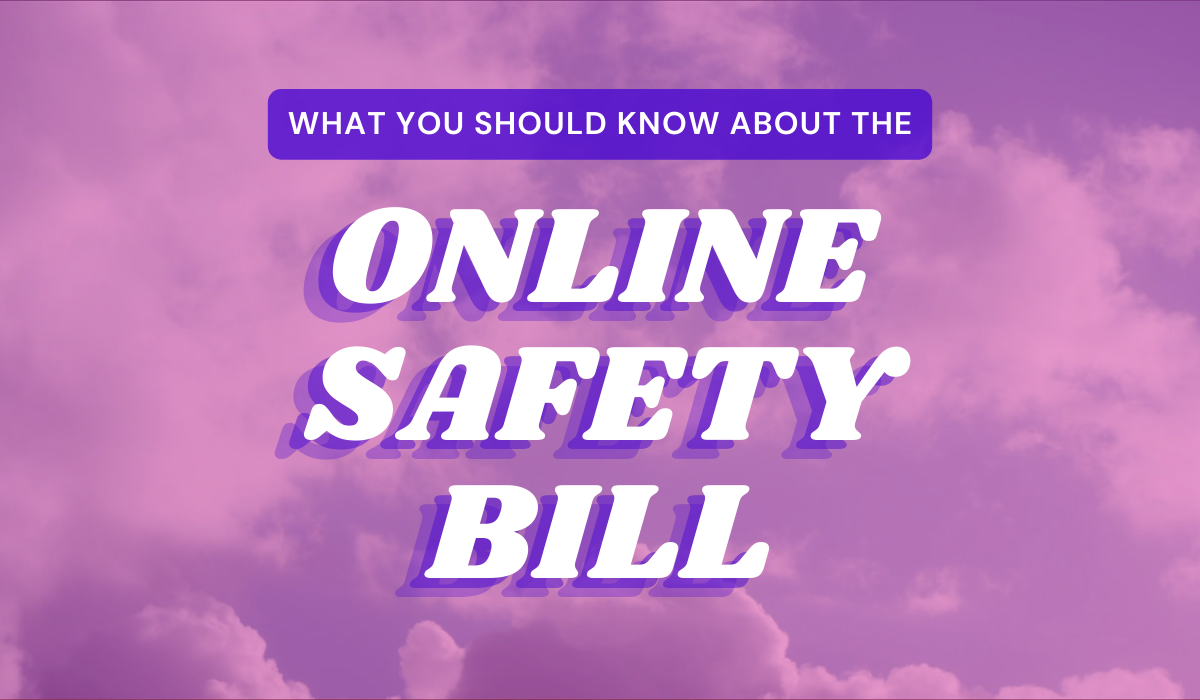 online safety bill essay