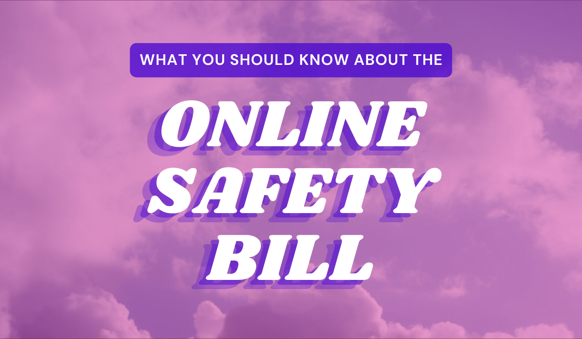 Explainer The Online Safety Bill Digital Rights Watch