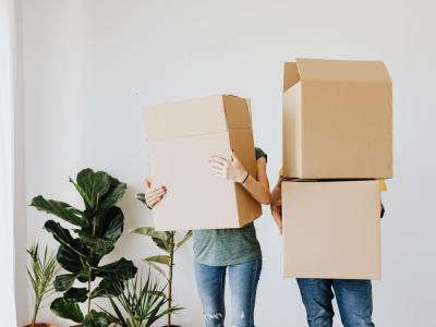 Submission: residential tenancy reform in South Australia